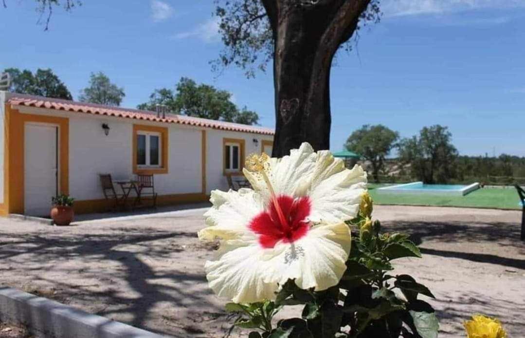 Monte Argil Apartment Montargil Exterior foto